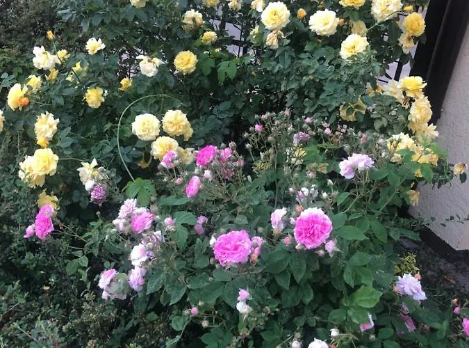 Apartment Wygodny S5 Kalisz (Greater Poland)